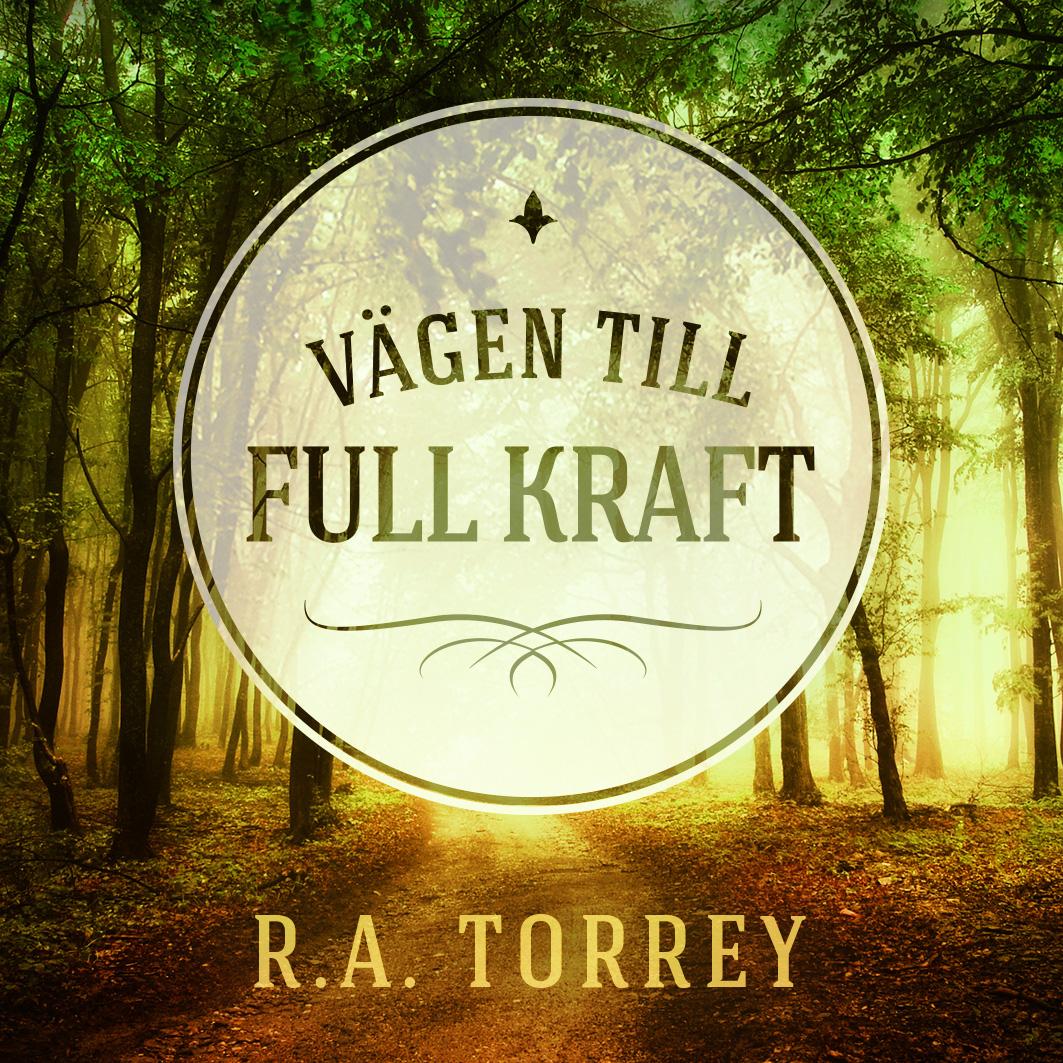 Vägen till full kraft
